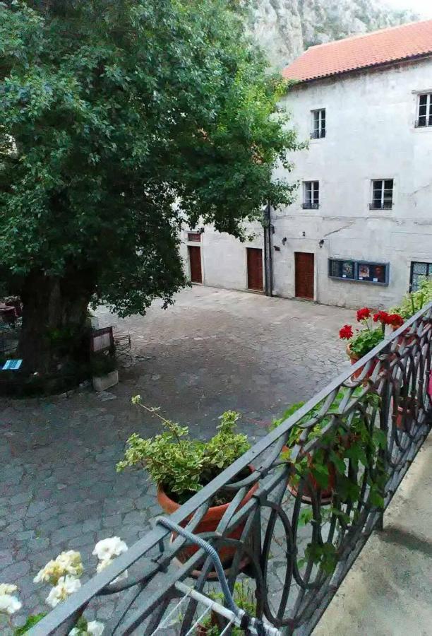 Guesthouse Nikoleta Κότορ Εξωτερικό φωτογραφία