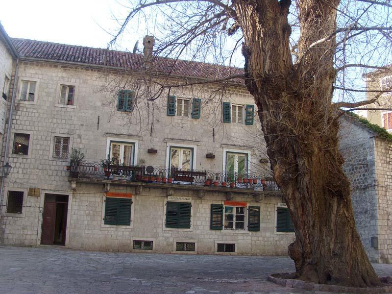 Guesthouse Nikoleta Κότορ Εξωτερικό φωτογραφία